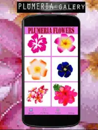 Plumeria Flowers Color By Number-Pixel Art Screen Shot 3