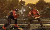 Bloody Roar Iron Fist: Tekk Fighting Games Screen Shot 4