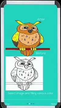 Colour Bird - Owl Coloring Screen Shot 2