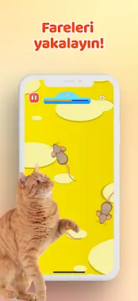 Kediler için Oyunlar - Fare Screen Shot 0