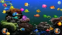 Aquarium fish Screen Shot 2