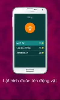 Lật hình đoán tên động vật Screen Shot 2