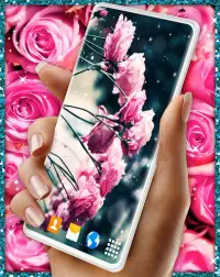 Spring Rose Live Wallpaper 🌹 Pastel Pink Themes Screen Shot 4