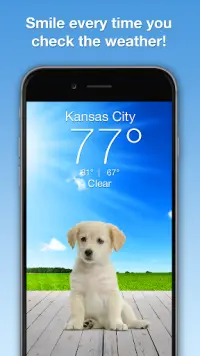 Weather Puppy - App & Widget Screen Shot 0