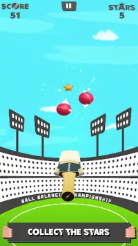 World Cricket Ball Challenge Screen Shot 2