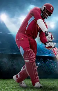 CCP - Cricket Cup Play Screen Shot 0