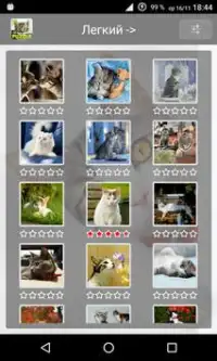 Пазлы коты,кошки (пятнашки) Screen Shot 0