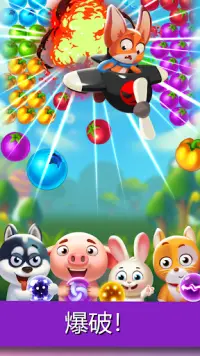 Bubble Fruit: Pet Bubble Shooter Games Screen Shot 3