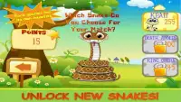 Snake Attack! Free Screen Shot 10