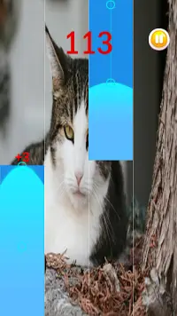 Cat Alan Walker Piano Tiles Screen Shot 1