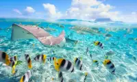 Puzzle podwodnej przygody świata Screen Shot 0
