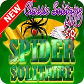 New Classic Spider Solitaire 2019