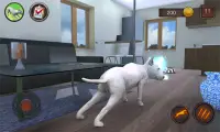 Simulador de perro Bull Terier Screen Shot 4