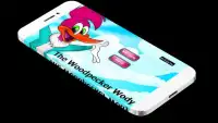 🐰Woody Super Woodpecker jungle Adv Screen Shot 1