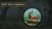 Wild Animal Hunting 3D - Jeep Drive Simulator Screen Shot 0