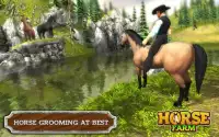 Мои конные курорты: поезд и уход за лошадьми Screen Shot 2