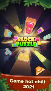 Block Puzzle: Game Xếp Gạch Screen Shot 5