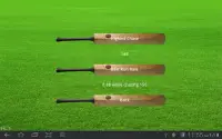 Howzat Cricket 2D Screen Shot 2