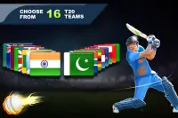 Cricket Champions Screen Shot 1