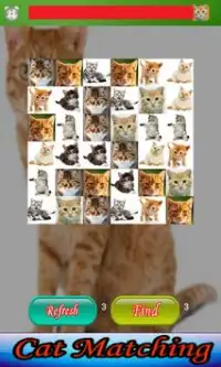 Cat Matching Screen Shot 2