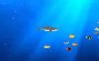Angry Shark Adventure 3D Screen Shot 0