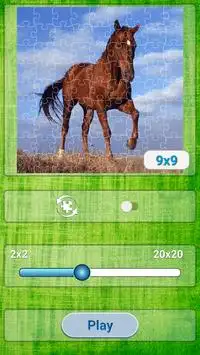 Cool Jigsaw Puzzles Screen Shot 2