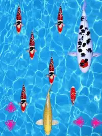 Koi Fishing Game Screen Shot 2