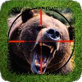 Bear Hunter Pro