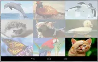 Animals Puzzle Game Screen Shot 4