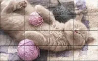 Tile Puzzle Cats Screen Shot 0