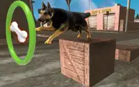 Chó Stunts & Simulator 3D - Trò Chơi Điên Cát Screen Shot 5