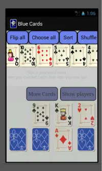 Blue Cards (a deck of cards) Screen Shot 4