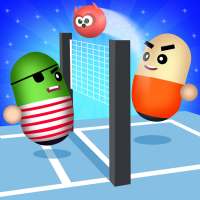 Volley Champion Hangout 3D Game