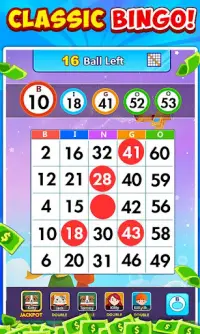 Bingo Win Cash Screen Shot 0