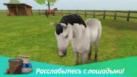 Horse World Premium – игра о лошадях Screen Shot 5