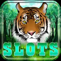 Tiger Spin Slot Screen Shot 4