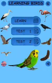 Birds - Learning Birds Screen Shot 7