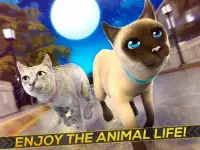 Meow! Cute Kitty Cat 🐈 Puppy Love Pet Simulator Screen Shot 3