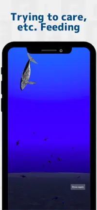 Whale training Screen Shot 1