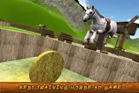 My Horse Simulator Training 3D Screen Shot 4