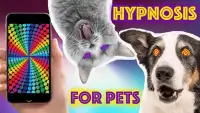 Hypnosis Pets Illusions Prank Screen Shot 0