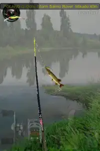 Fishing Asp 3D Free Screen Shot 1
