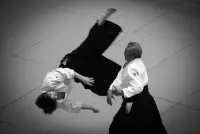 Aikido training Screen Shot 1