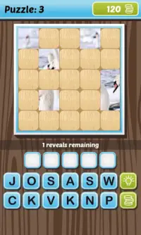 What’s The Picture - Guess Pic Screen Shot 7