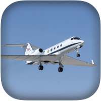 Toy Airplane Flight Simulator