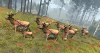 Vahşi geyik avcısı 3d: orman okçuluk av oyunları Screen Shot 3
