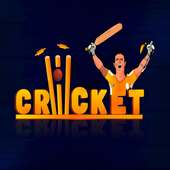 Pro Cricket Tournament