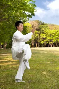 Learn Kung Fu Training 2020 Screen Shot 1