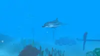 VR Ocean Aquarium 3D Screen Shot 2