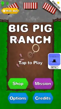 Big Pig Ranch Screen Shot 3